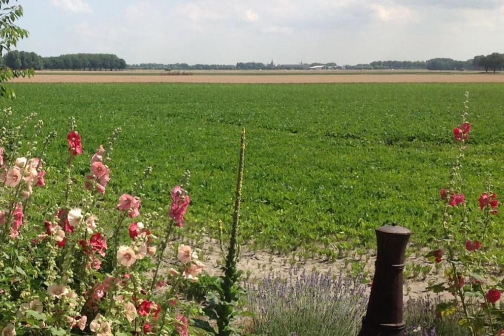 Dijkhuisje Zeeland Waterlandkerkje Экстерьер фото